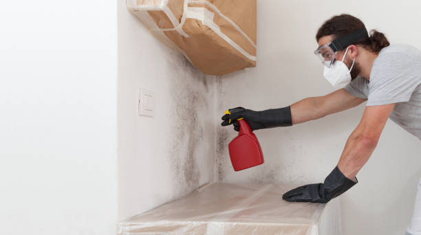 Professional Bathroom Mold Removal technician working in Midland, PA
