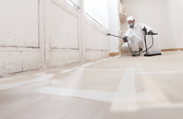 24/7 Emergency Bathroom Mold Removal experts in Midland, PA