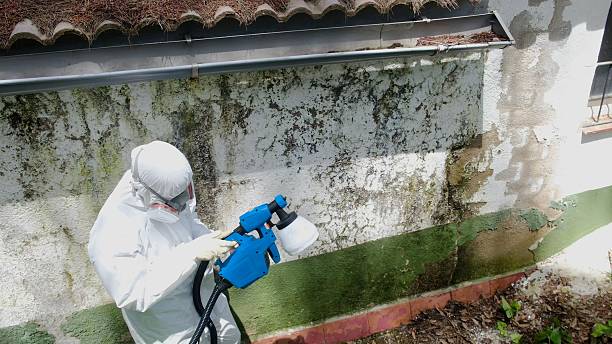 Top rated local Bathroom Mold Removal specialists in Midland, PA